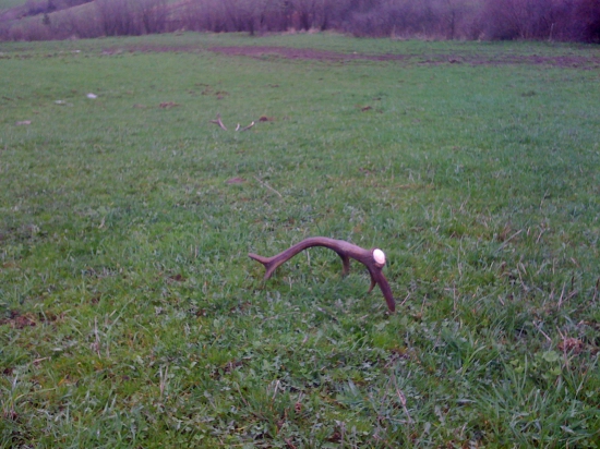 Takto som ich našiel