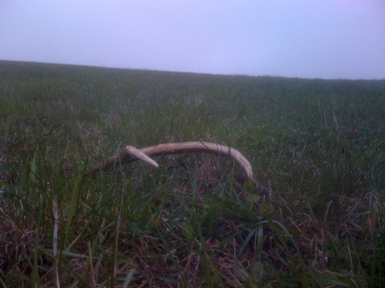 Asi už posledný toho roku