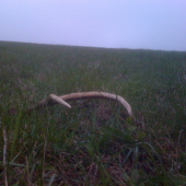 Asi už posledný toho roku