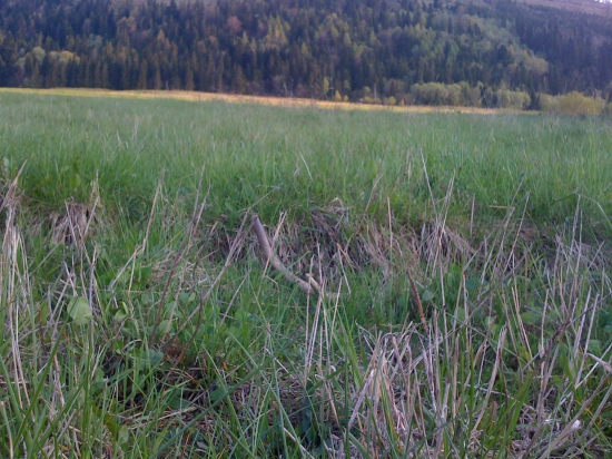 Tak predsa sa ešte jeden našiel