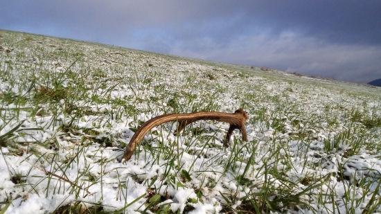 Na veľkonočný pondelok