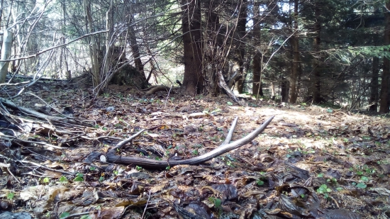 Ešte jeden zo včera