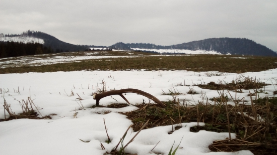 Včerajšia prechádzka