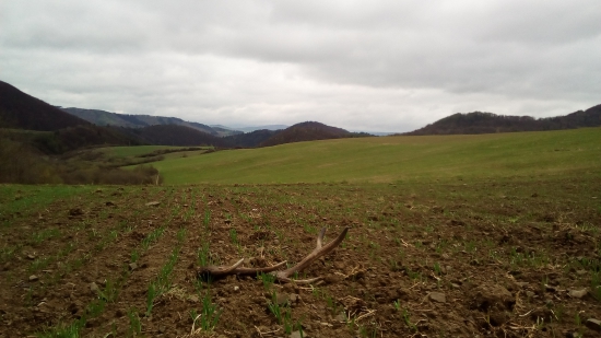 Dnešná prechádzka za daždivého počasia