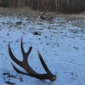 3.50a3.70kg