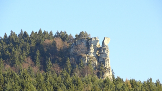 hlavačka
