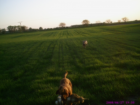 Môj MKS a kamarátov Weimar