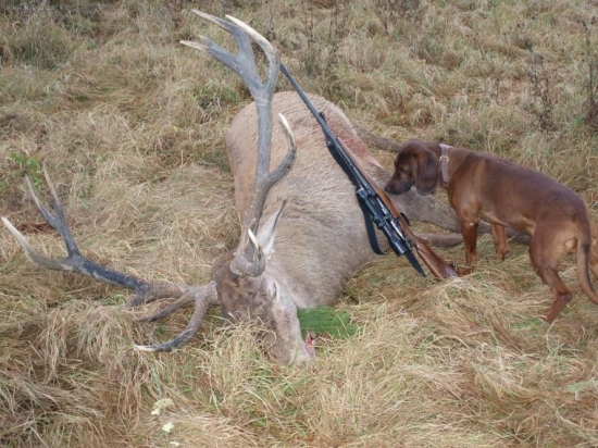 Mal som dohľadať-nebolo treba:))