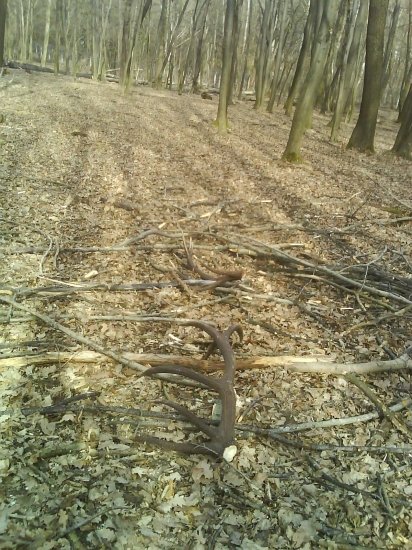 Toto sa mi podarilo len raz.