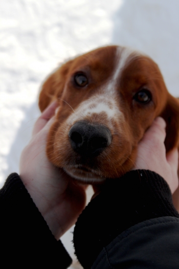 Keď miluješ nie je čo riešiť...