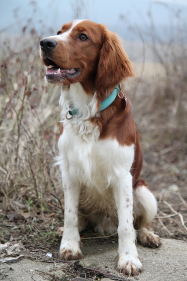 Forrest Gump 8 mesiacov from Minebea