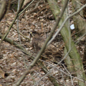 Mne sa neschováš :)