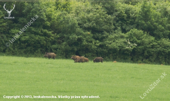 rodinka