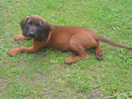 Rastiem do krásy :)