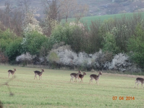 Výborná kondícia dančej