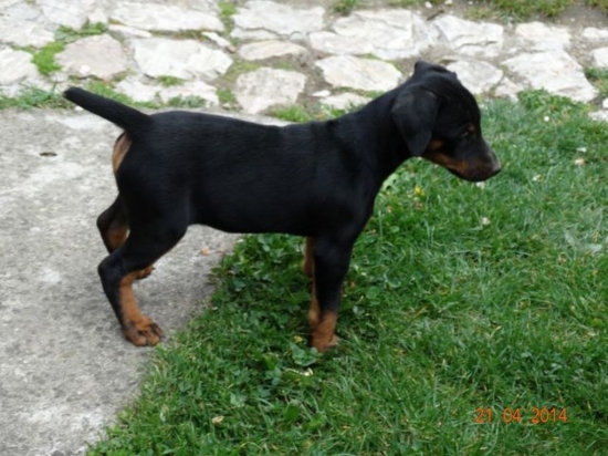 Som ešte malá, ale už zvedavá