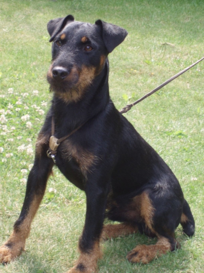 SAM Spod Bankova Slovenský šampión krásy mladých