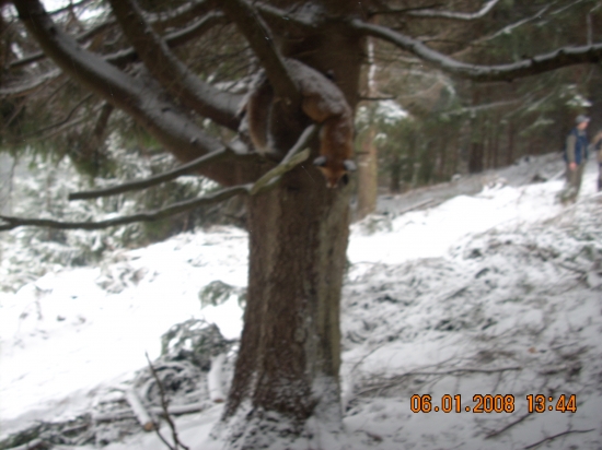 Takto som ju našiel