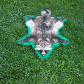 psik