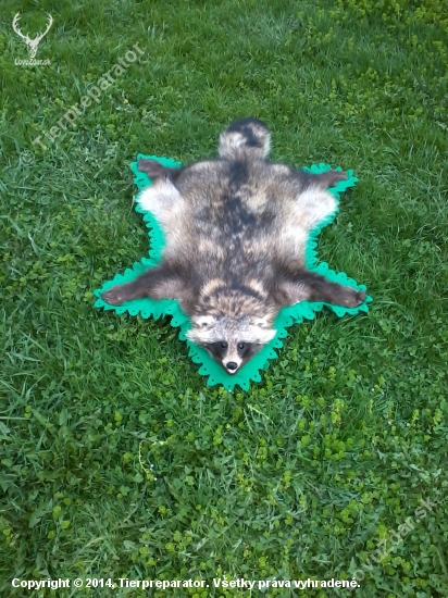 psik