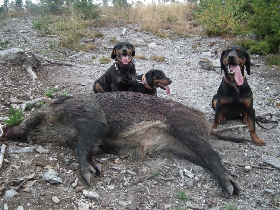 1,uspesna dohladavka