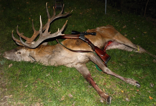 12- ročný 18-torák