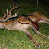 12- ročný 18-torák