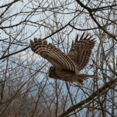 3,2,1, štartujem...