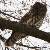 húúúúž ma nechaj