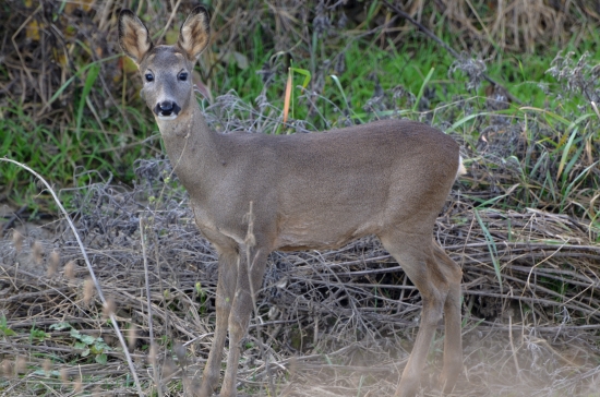 dokonalý mejkap :-D