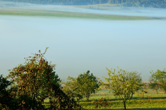 ranné hmly na Spiši