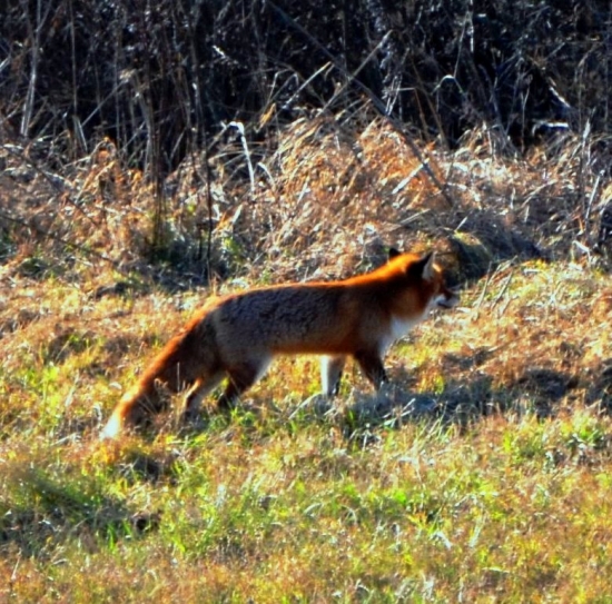 ešte stále sa smeje :-D