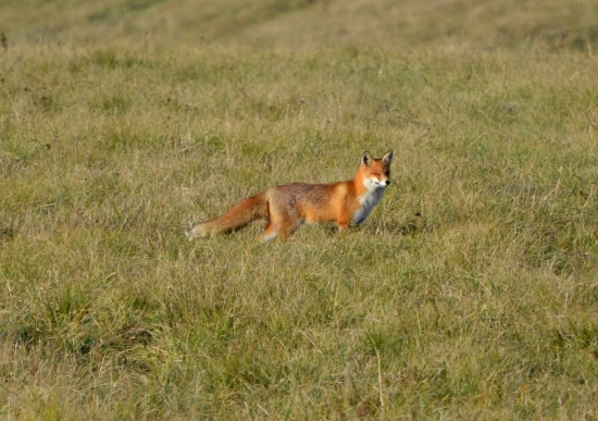 vychutnávam si slniečko