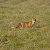vychutnávam si slniečko