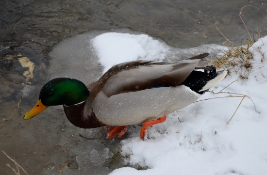 -10 idem sa schladiť :-D