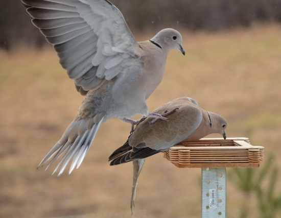 uhni, aj ja chcem...