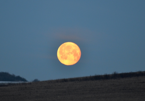 dnešné ráno v Levoči