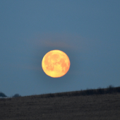 dnešné ráno v Levoči