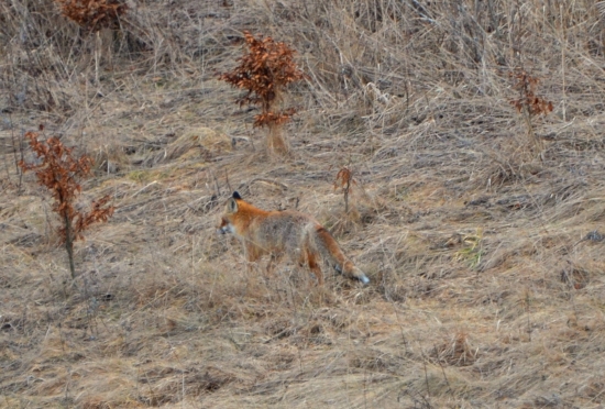 bez snehu nebehám :-D