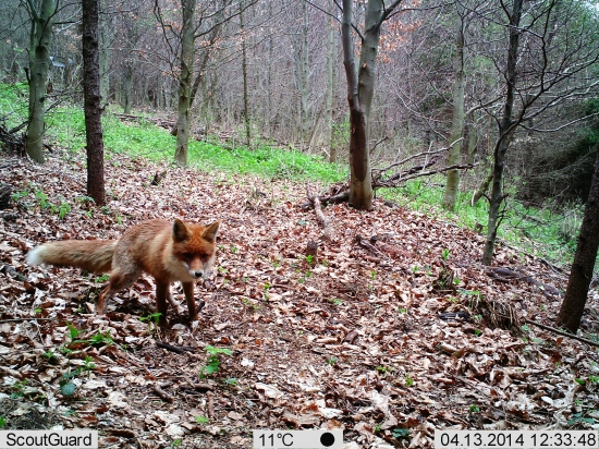 intímna chvíľka :-D