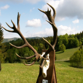 Poľana 2011