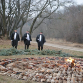 Krásny výrad