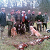 Medzinárodné všeličo