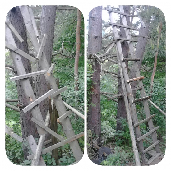 Ruky odťať takýmto (ne)ľuďom.