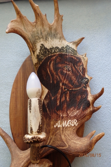 spomienka na môjho psika