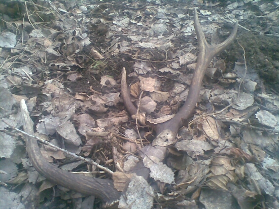 roztopil sa sneh treba sa prejst