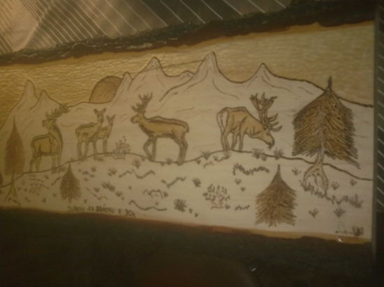 ucil som sa vypalovat do dreva