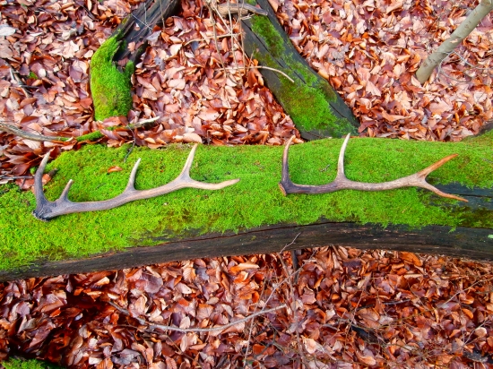 10terak a 8merak 2013 ale minulorocne