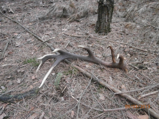 uz je aj par k nemu :D