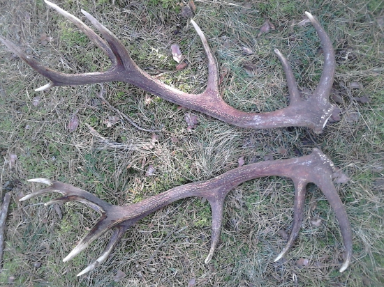 prvé tohtoročné 16torak